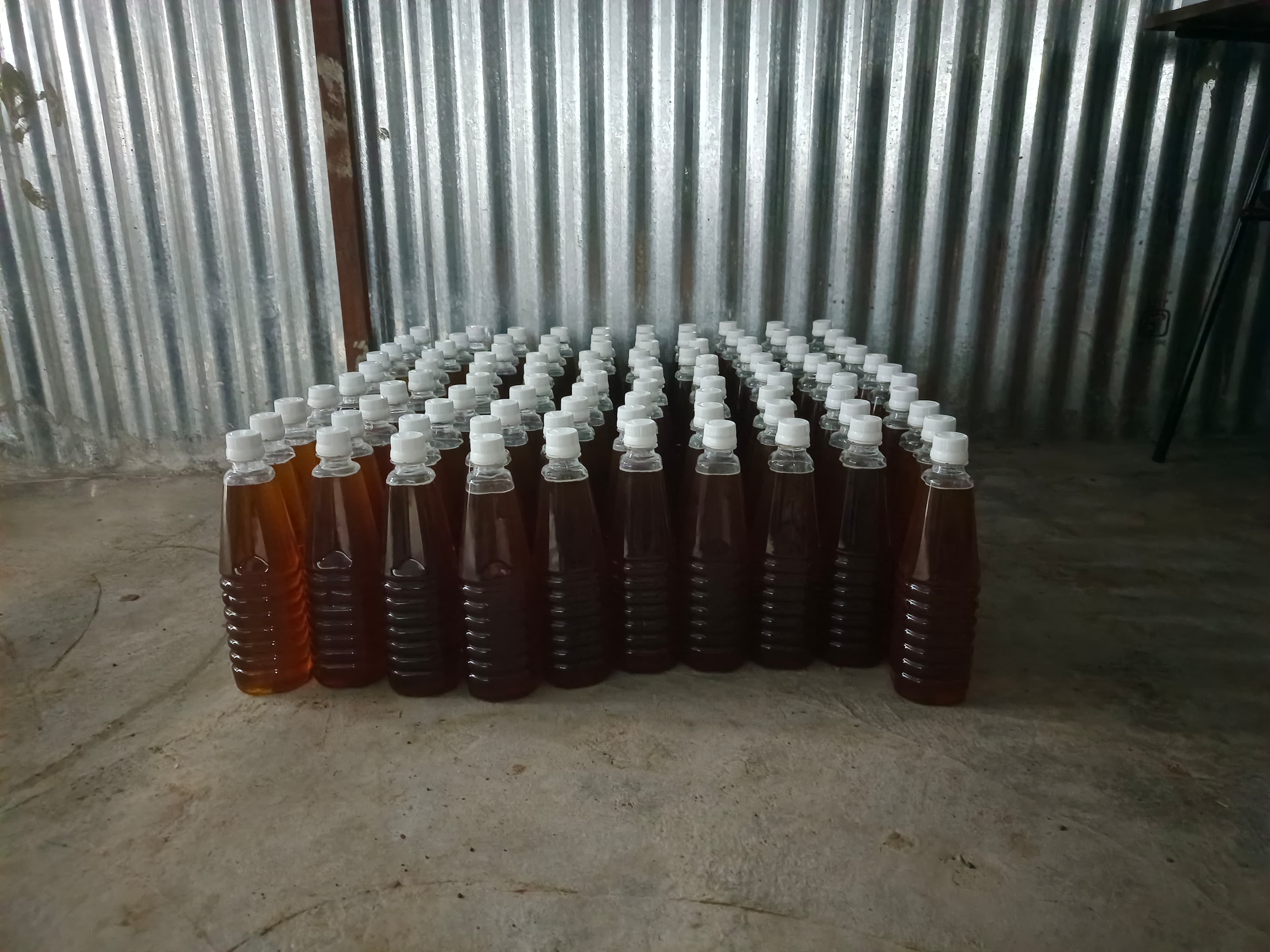 Forest Honey